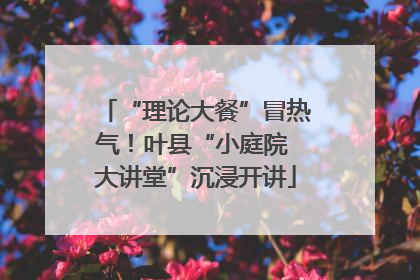 “理论大餐”冒热气！叶县“小庭院 大讲堂”沉浸开讲